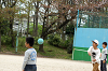 hana28 (181)_thumb.png